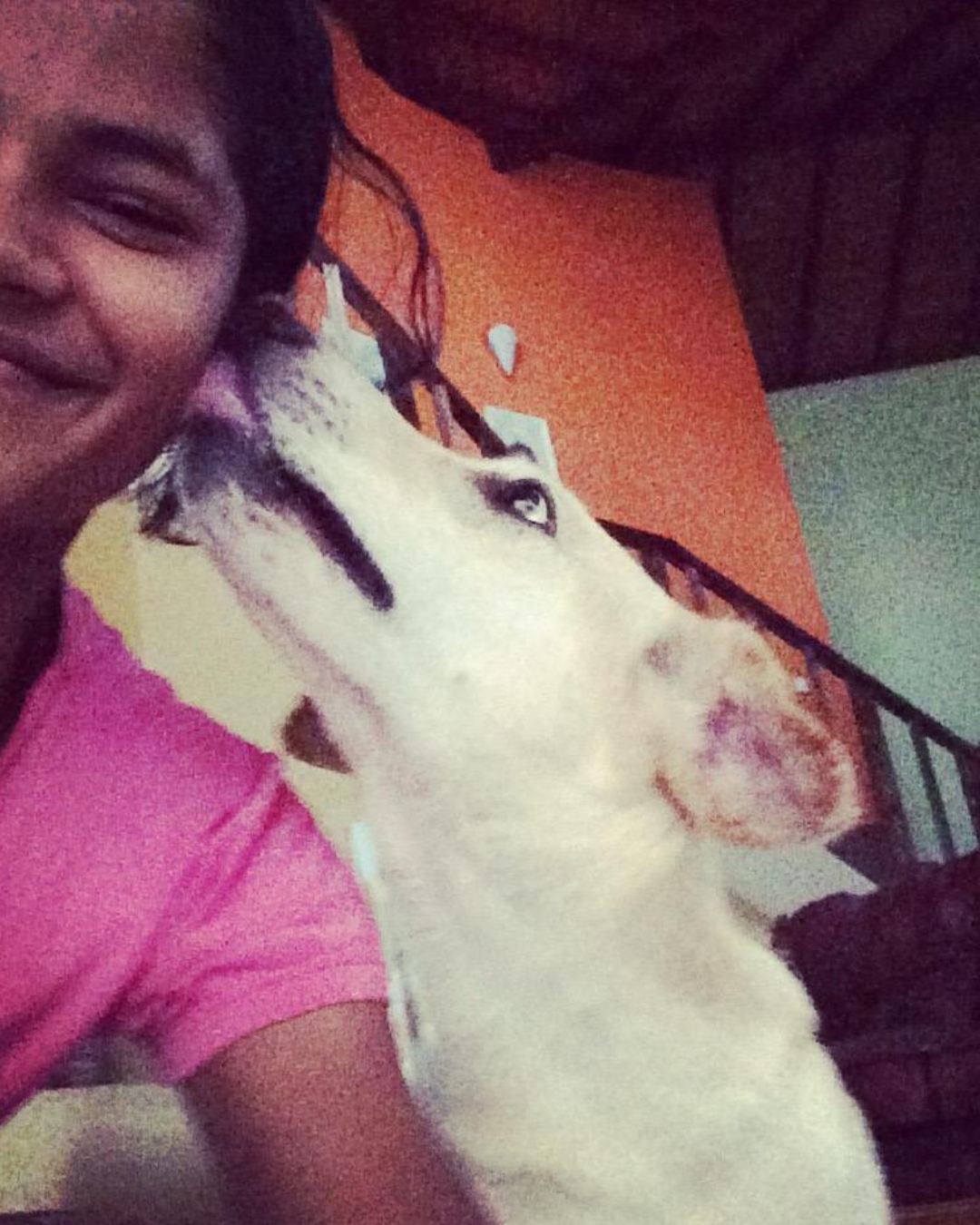 Selfie with pet
